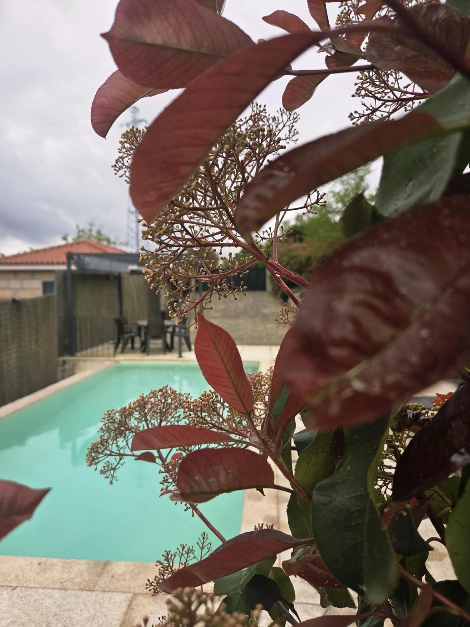 カンポ・ド・ジェレッス Casa Fraga Do Suadouroヴィラ エクステリア 写真